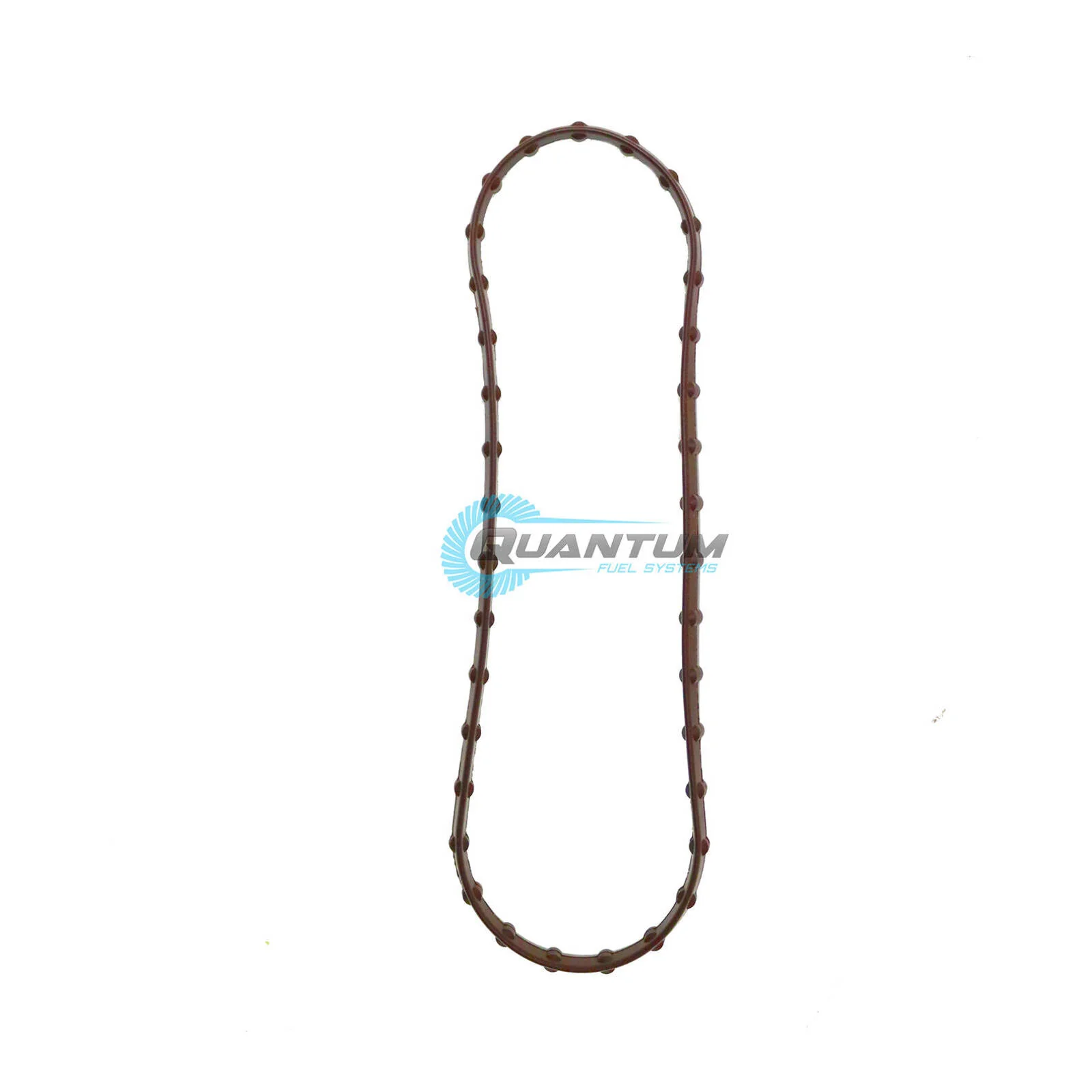 Quantum Fuel Pump Tank Seal Gasket
