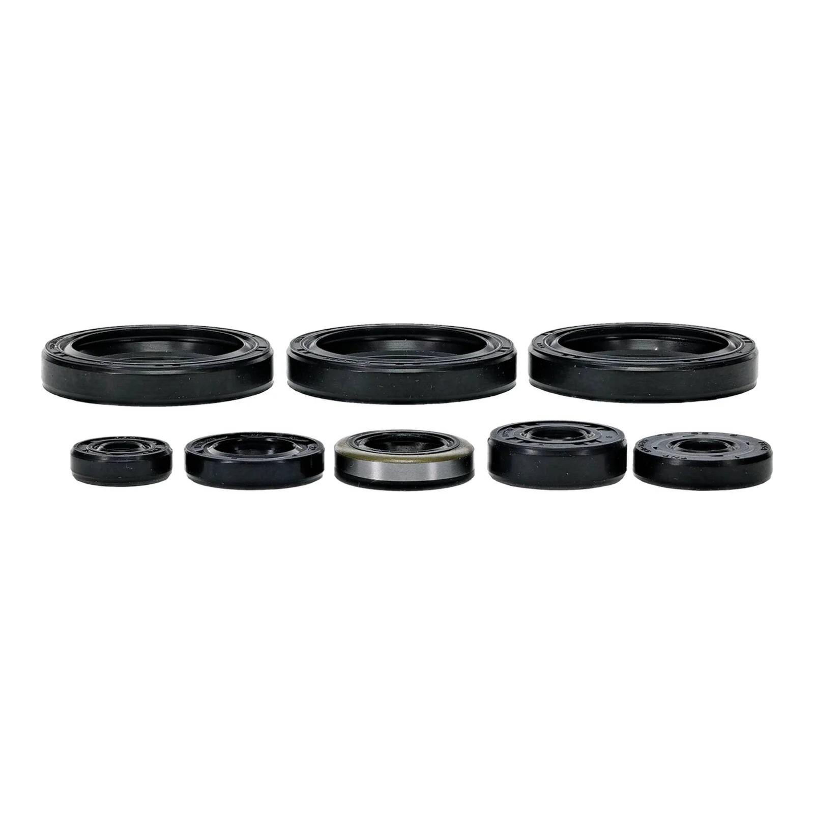 Oil Seal Kit 822403